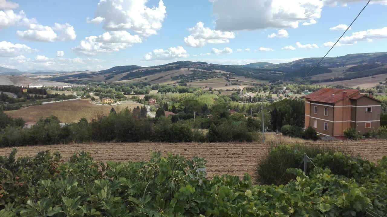 Agriturismo Cerquaglia Βίλα Τόντι Εξωτερικό φωτογραφία